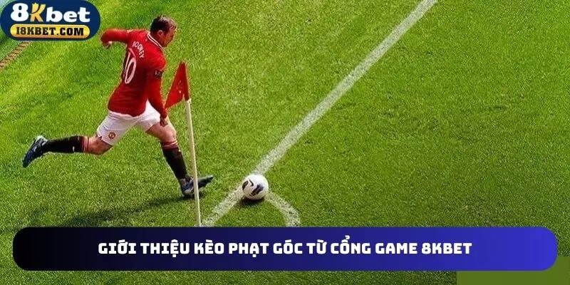 Kèo phạt góc online nhận được sự quan tâm của bet thủ