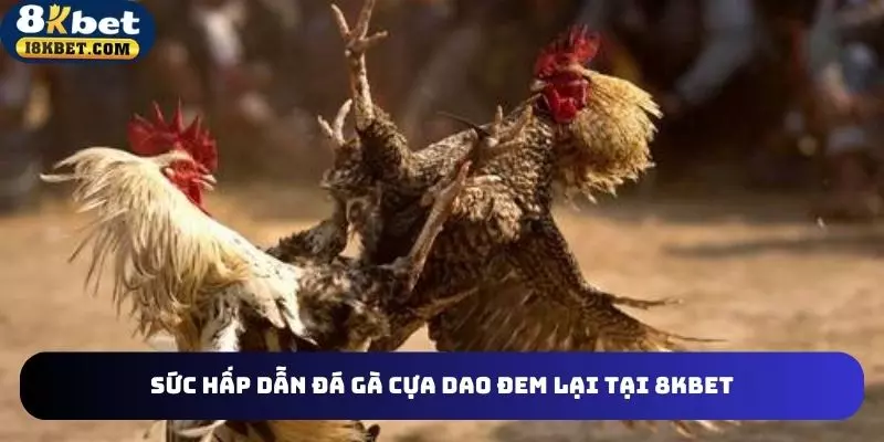Sức hấp dẫn sảnh đá gà cựa dao đem lại 