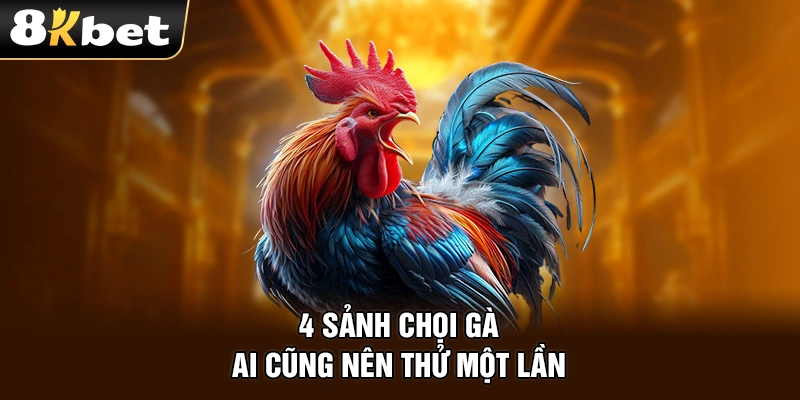 4 sảnh chọi gà ai cũng nên thử một lần