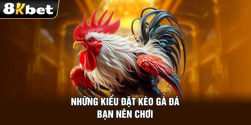 Những kiểu đặt kèo gà đá bạn nên chơi